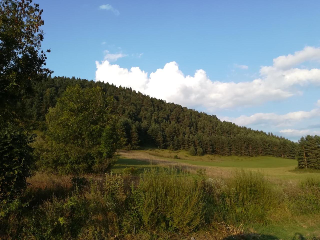 Villa Natali Donji Babin Potok Exteriör bild