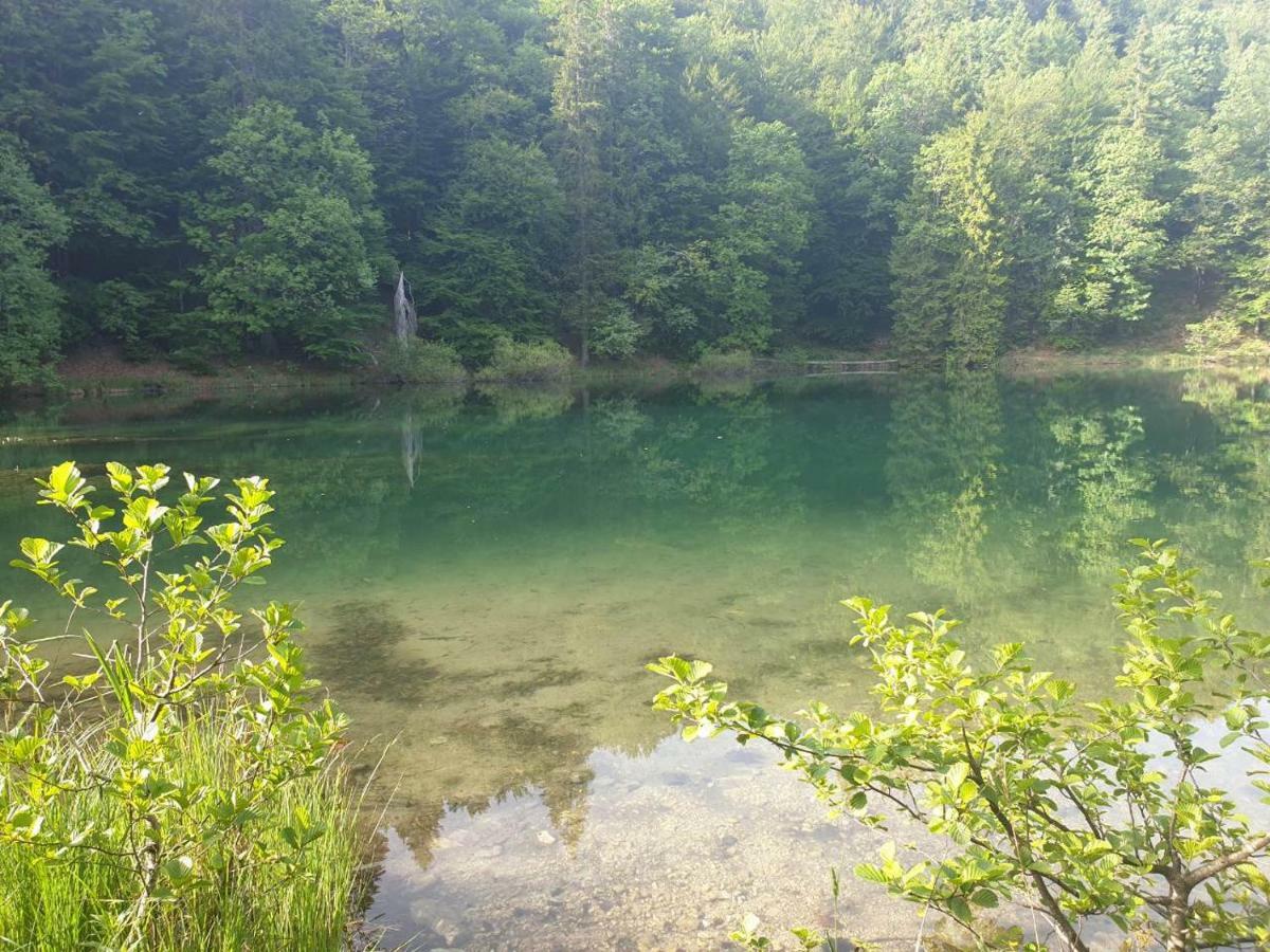 Villa Natali Donji Babin Potok Exteriör bild